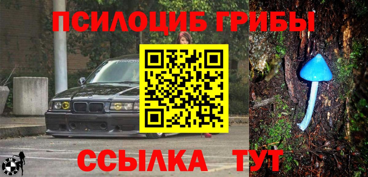 Галлюциногенные грибы MAGIC MUSHROOMS Обь
